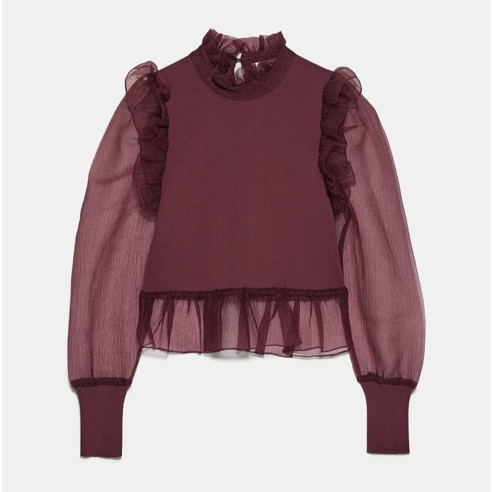 Zara Organza Top